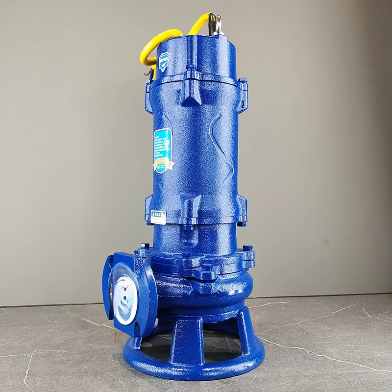 Submersible Pump Sewage - Pompa zanurzeniowa z wylotem 2-calowym, ssąca,