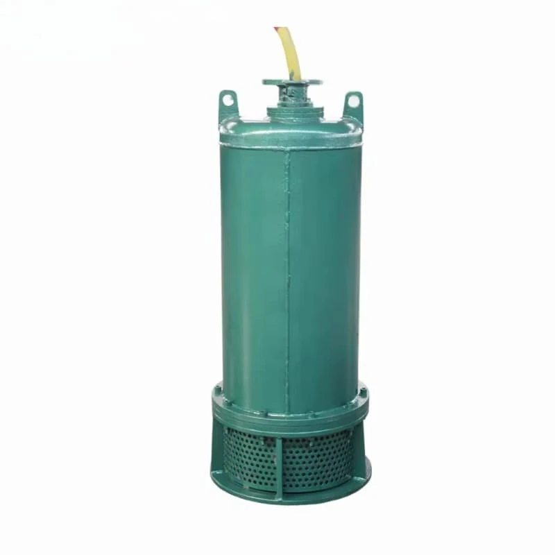 Wysokowydajna żeliwna pompa od – Submersible Pump Sewage recenzja i cena